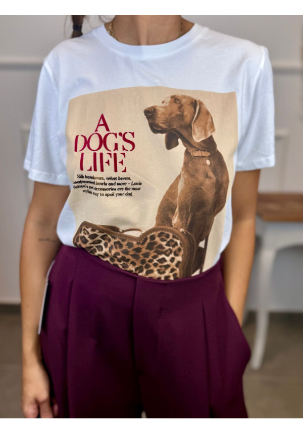 CAMISETA BASICA ESTAMPADO ALGODON 2025