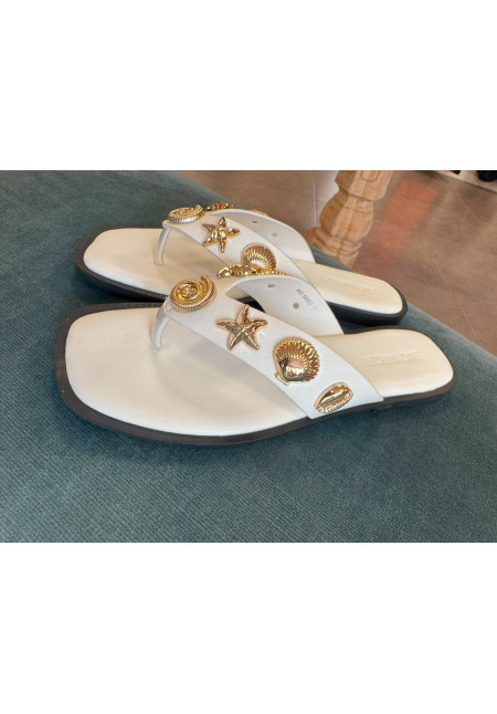 SANDALIAS BLANCAS CONCHAS DORADAS 5682